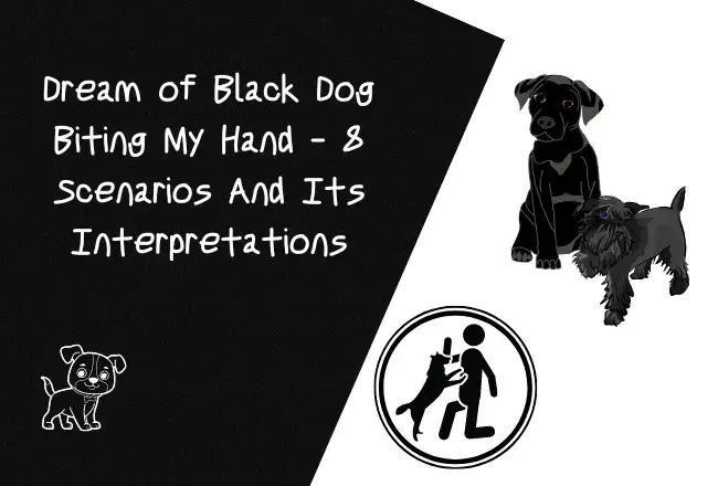 Dream of Black Dog Biting My Hand - 8 Scenarios And Its Interpretations