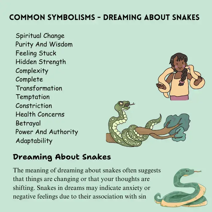 Seeing Snake In Dreams